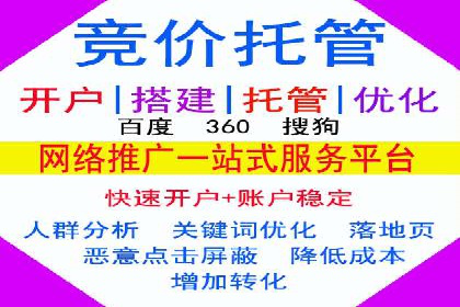 SEO技术突破：某网站流量暴增的背后故事